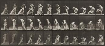 EADWEARD MUYBRIDGE (1830-1904) A selection of 4 plates from Animal Locomotion. 1887.